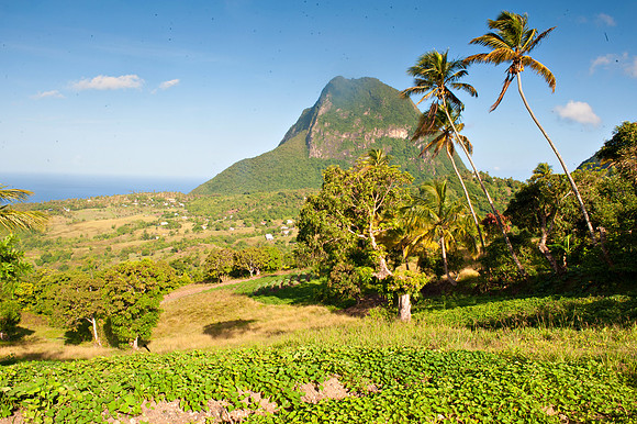 Bill Mortley_St. Lucia - September 20th, 2012-3646 - Copy