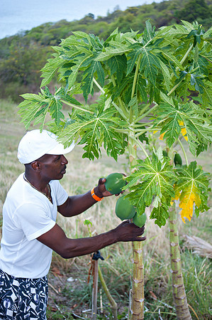 Bill Mortley_ St. Lucia _April 16th, 2013_BMP-6808