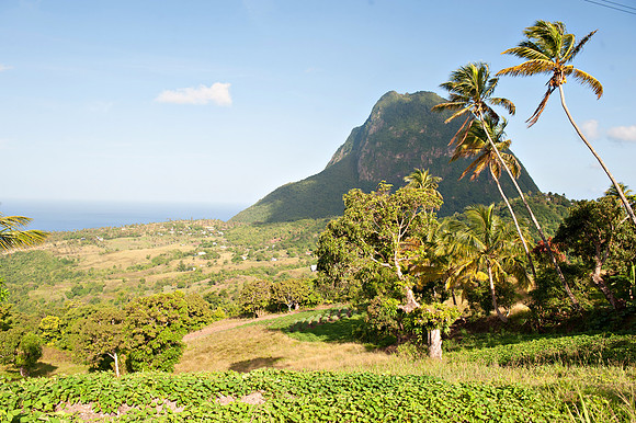 Bill Mortley_St. Lucia - September 20th, 2012-3643