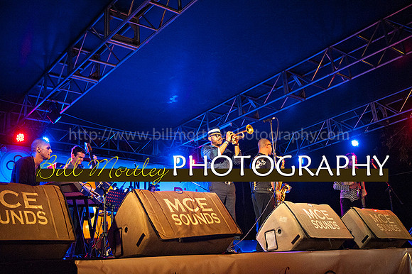 Bill Mortley_Jazz in the South_May 4th, 2014-8672