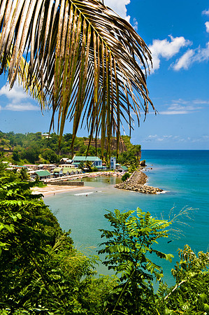 Bill Mortley_St. Lucia - September 20th, 2012-3819