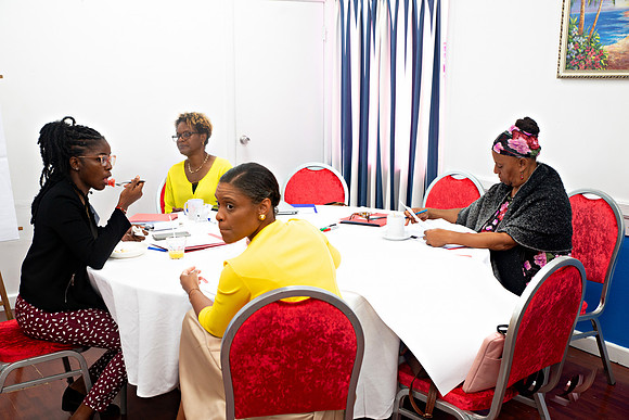 Bill Mortley Photography_FSSP Caribbean- Proposal Writing_April 25th, 2024_BMP-9075