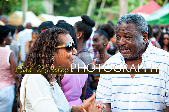 Bill Mortley_Jazz in the South_May 4th, 2014-8478
