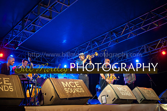 Bill Mortley_Jazz in the South_May 4th, 2014-8674