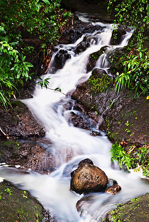 Bill Mortley_St. Lucia - August 12th, 2012_BMP--2