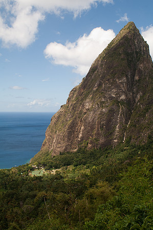 Bill Mortley _Feb. 21st 2011_St. Lucia_BMP-0000321