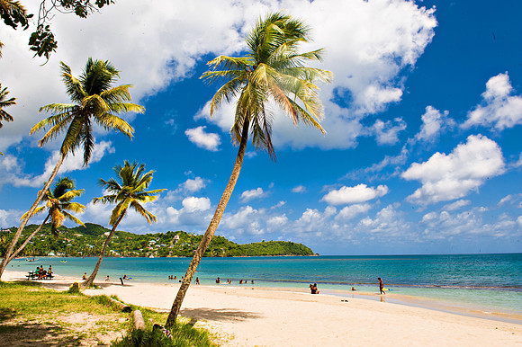 Bill Mortley_St. Lucia - September 20th, 2012-3863