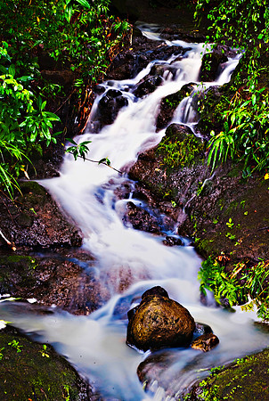 Bill Mortley_St. Lucia - August 12th, 2012_BMP--2-2