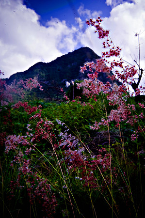 Bill Mortley_St. Lucia - September 20th, 2012-3681 - Copy