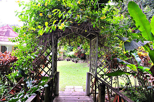 BMP_0204 - Arch