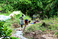 Bill Mortley _11012010_St. Lucia_BMP-7965