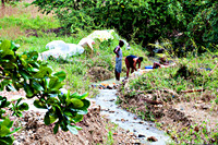 Bill Mortley _11012010_St. Lucia_BMP-7968