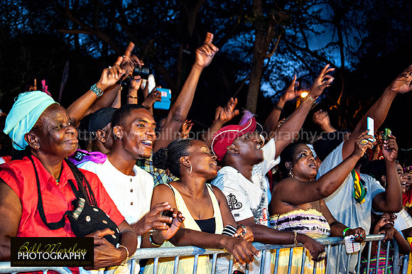 Bill Mortley_Fond D'Or Jazz2014_May 4th, 2014-7775