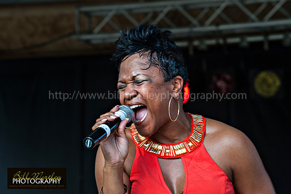 Bill Mortley_Fond D'Or Jazz2014_May 4th, 2014-7379