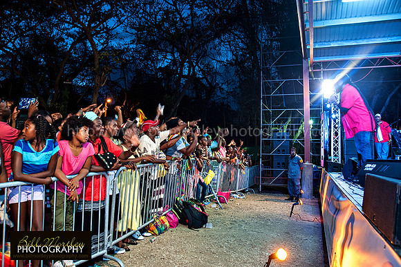 Bill Mortley_Fond D'Or Jazz2014_May 4th, 2014-7790