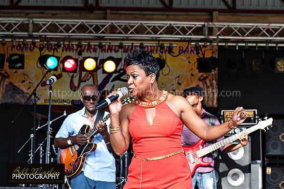 Bill Mortley_Fond D'Or Jazz2014_May 4th, 2014-7350