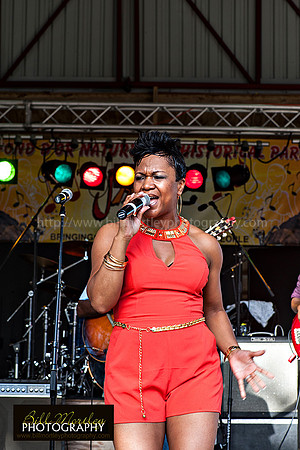 Bill Mortley_Fond D'Or Jazz2014_May 4th, 2014-7356