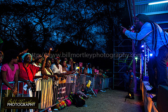 Bill Mortley_Fond D'Or Jazz2014_May 4th, 2014-7771