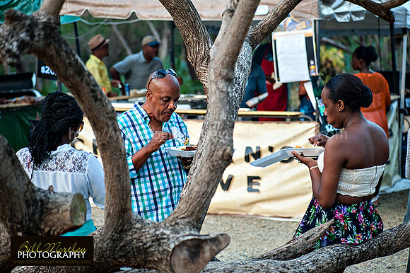 Bill Mortley_Fond D'Or Jazz2014_May 4th, 2014-7668