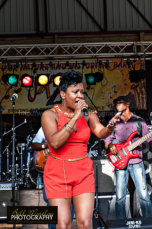 Bill Mortley_Fond D'Or Jazz2014_May 4th, 2014-7348