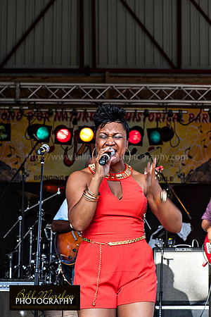 Bill Mortley_Fond D'Or Jazz2014_May 4th, 2014-7355