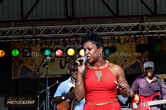 Bill Mortley_Fond D'Or Jazz2014_May 4th, 2014-7359