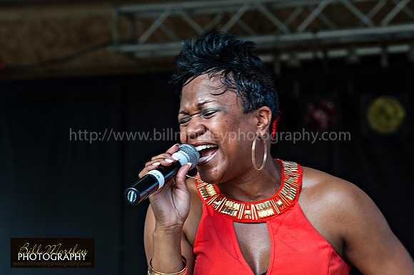 Bill Mortley_Fond D'Or Jazz2014_May 4th, 2014-7380