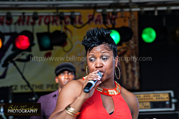 Bill Mortley_Fond D'Or Jazz2014_May 4th, 2014-7370