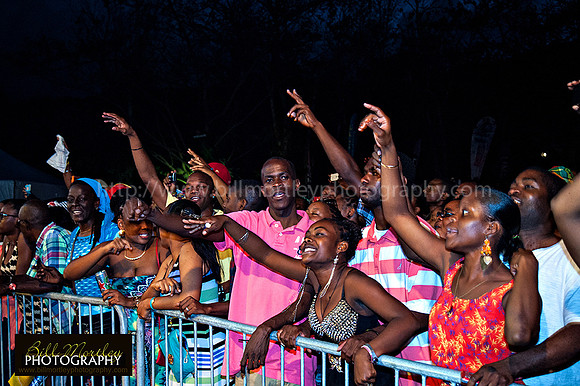 Bill Mortley_Fond D'Or Jazz2014_May 4th, 2014-7791