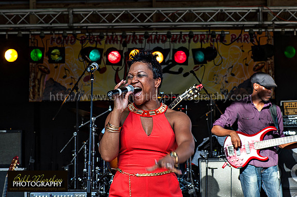 Bill Mortley_Fond D'Or Jazz2014_May 4th, 2014-7362