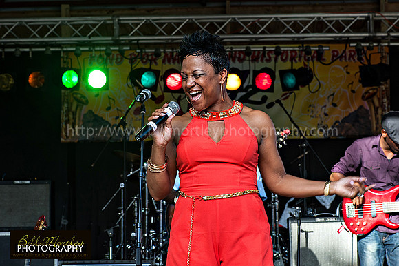 Bill Mortley_Fond D'Or Jazz2014_May 4th, 2014-7366