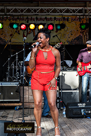 Bill Mortley_Fond D'Or Jazz2014_May 4th, 2014-7353