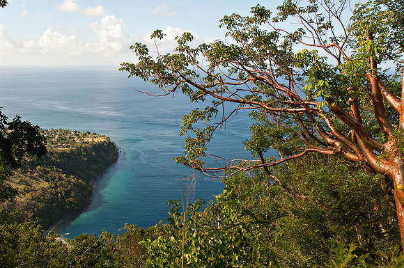 Bill Mortley _March052011_St. Lucia_BMP-0038