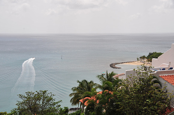 DSC_8206
