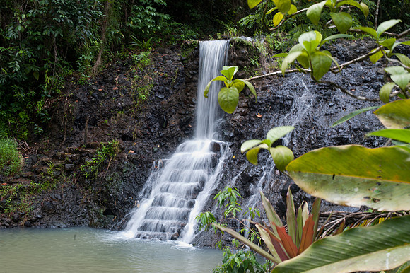 Bill Mortley_St. Lucia_08222010_BMP-2193