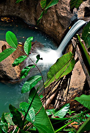 Bill Mortley_St. Lucia - September 13th, 2012_BMP--12
