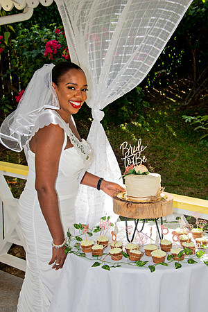 Bill Mortley Photography_The Bridal Shower of Danielle Gordon _January 3rd, 2022 BMP-5639