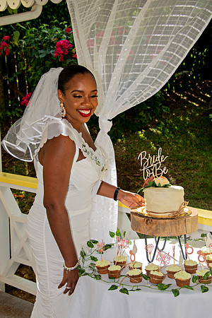 Bill Mortley Photography_The Bridal Shower of Danielle Gordon _January 3rd, 2022 BMP-5638