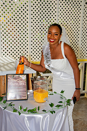 Bill Mortley Photography_The Bridal Shower of Danielle Gordon _January 3rd, 2022 BMP-5642