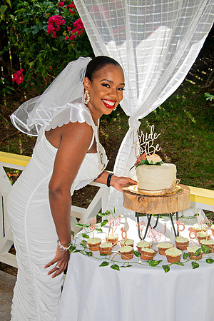 Bill Mortley Photography_The Bridal Shower of Danielle Gordon _January 3rd, 2022 BMP-5641