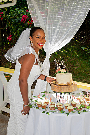 Bill Mortley Photography_The Bridal Shower of Danielle Gordon _January 3rd, 2022 BMP-5640