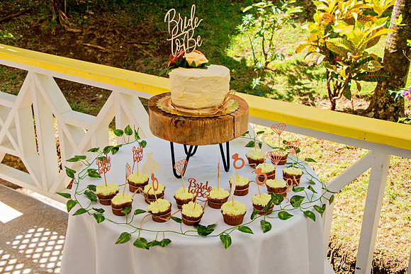 Bill Mortley Photography_The Bridal Shower of Danielle Gordon _January 3rd, 2022 BMP-5538