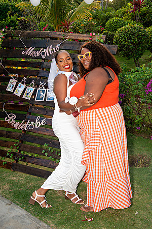 Bill Mortley Photography_The Bridal Shower of Danielle Gordon _January 3rd, 2022 BMP-5742