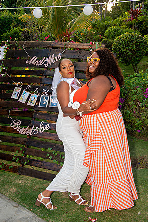 Bill Mortley Photography_The Bridal Shower of Danielle Gordon _January 3rd, 2022 BMP-5741