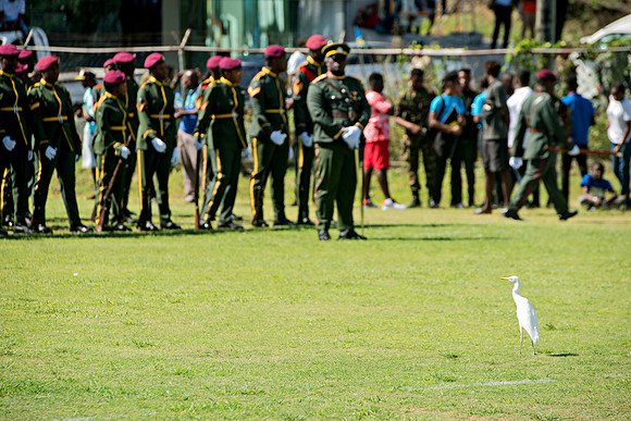 Bill Mortley Photography_40th Independence Military Parade_BMP-9896
