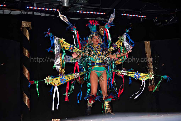 Bill Mortley_2015 Carnival Queen Show _July 4th_2015-6211