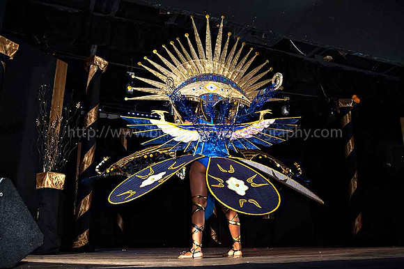 Bill Mortley_2015 Carnival Queen Show _July 4th_2015-6174