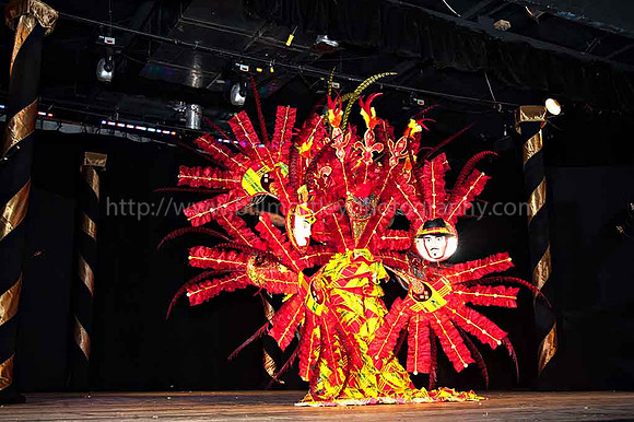 Bill Mortley_2015 Carnival Queen Show _July 4th_2015-6134