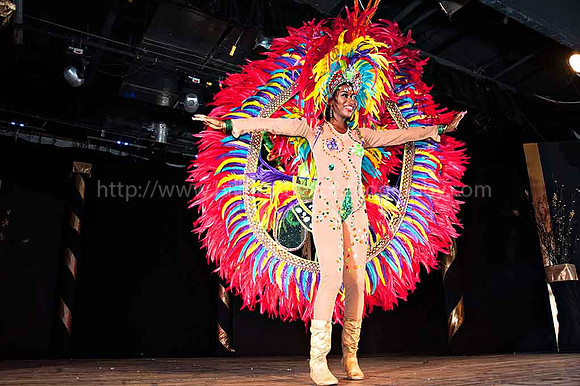 Bill Mortley_2015 Carnival Queen Show _July 4th_2015-6111