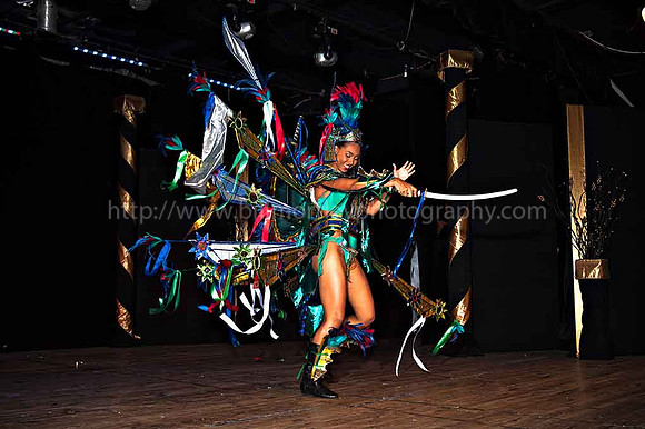 Bill Mortley_2015 Carnival Queen Show _July 4th_2015-6216